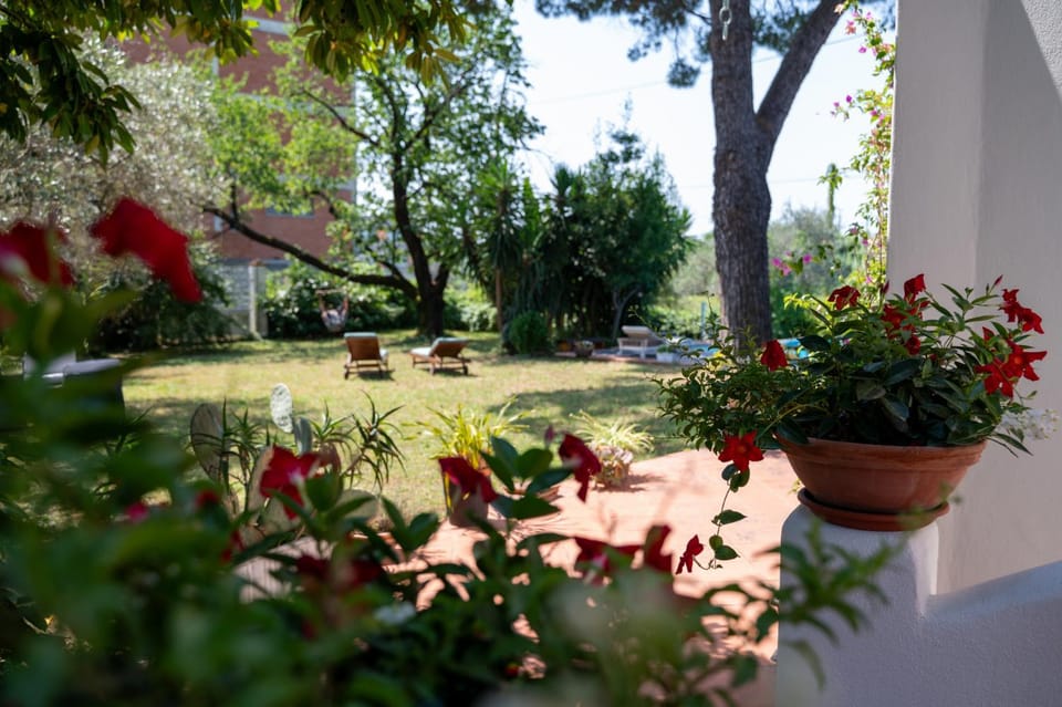 Garden, Garden view