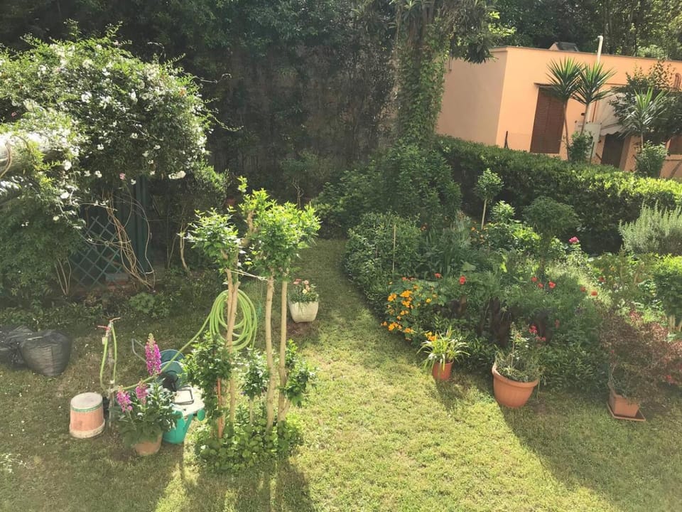 Garden, Inner courtyard view