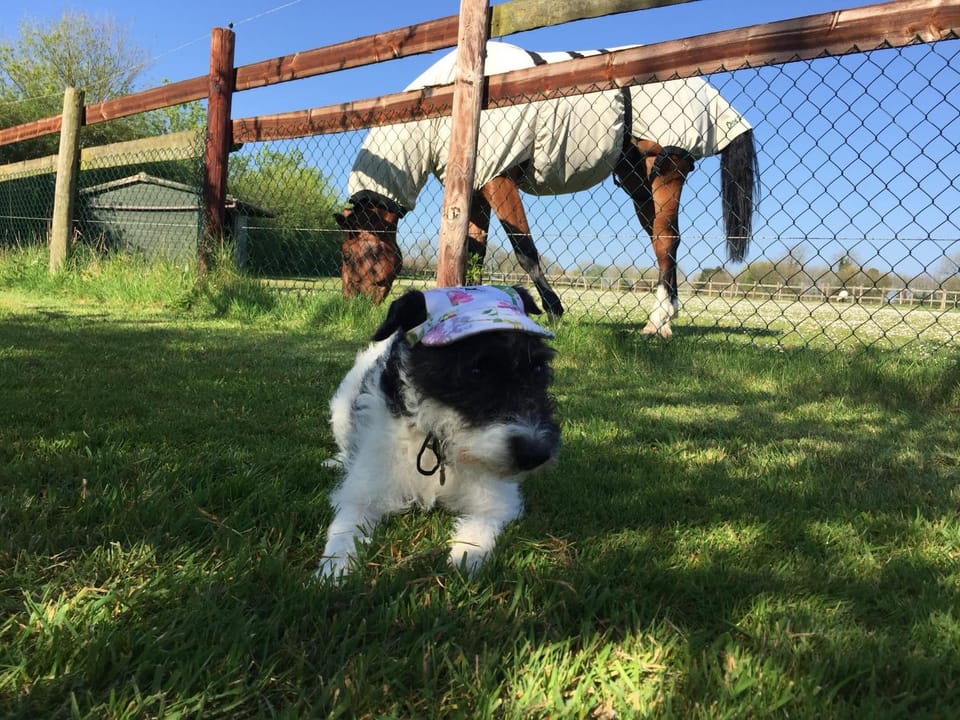 The Winning Post, Bruton House in Bruton