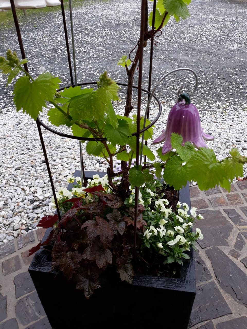 Spring