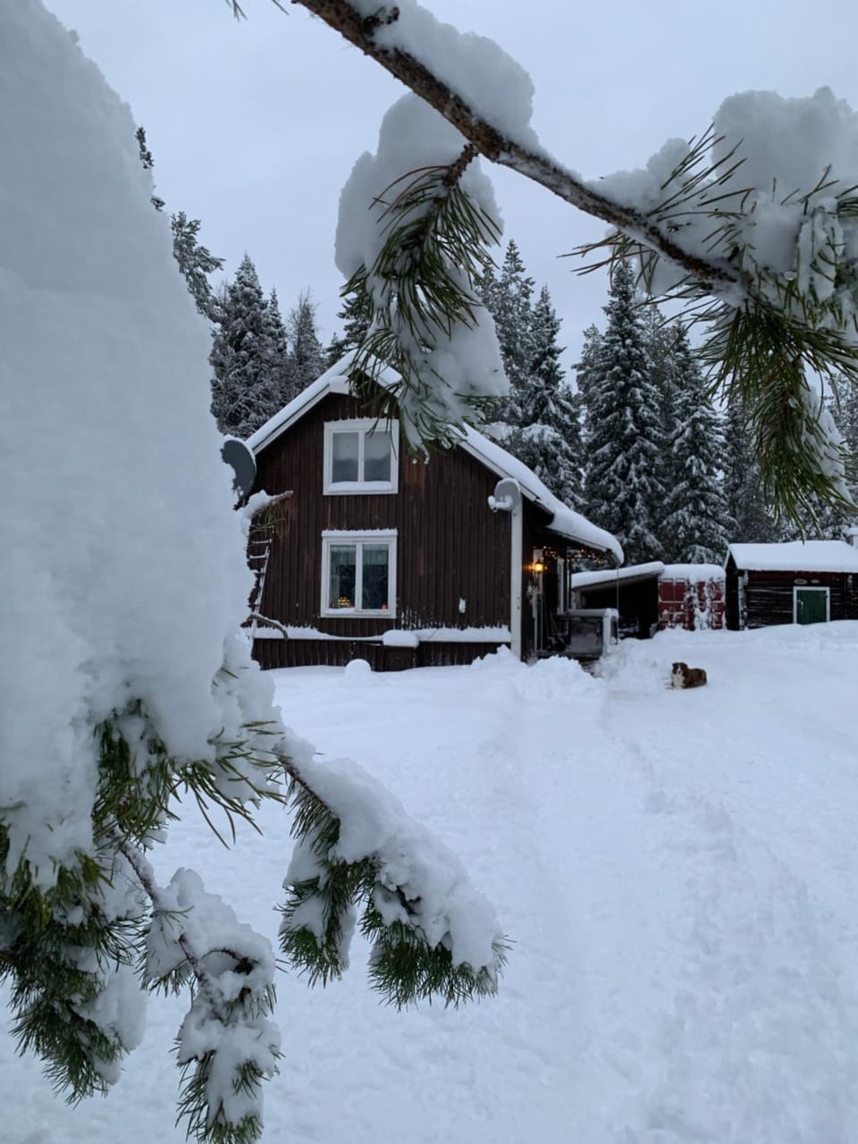 Property building, Winter