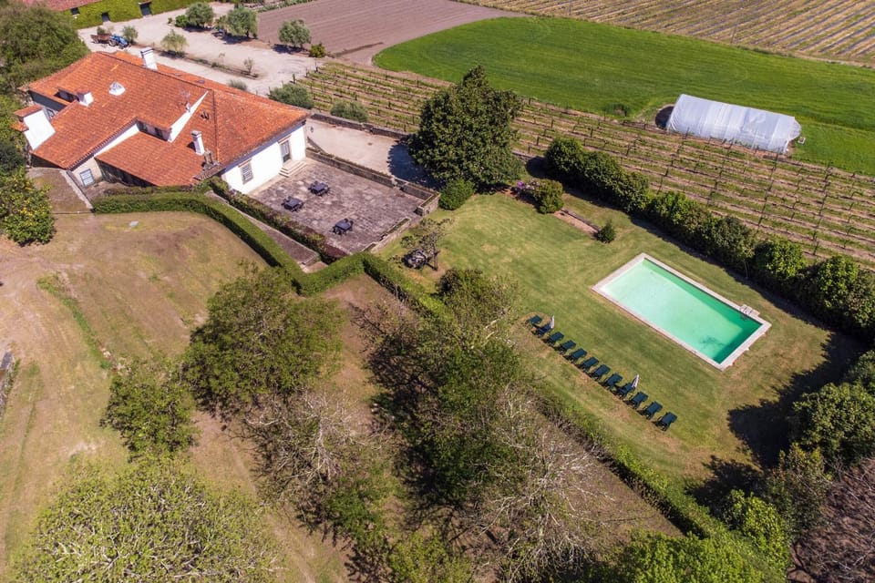 Bird's eye view, Garden, Pool view
