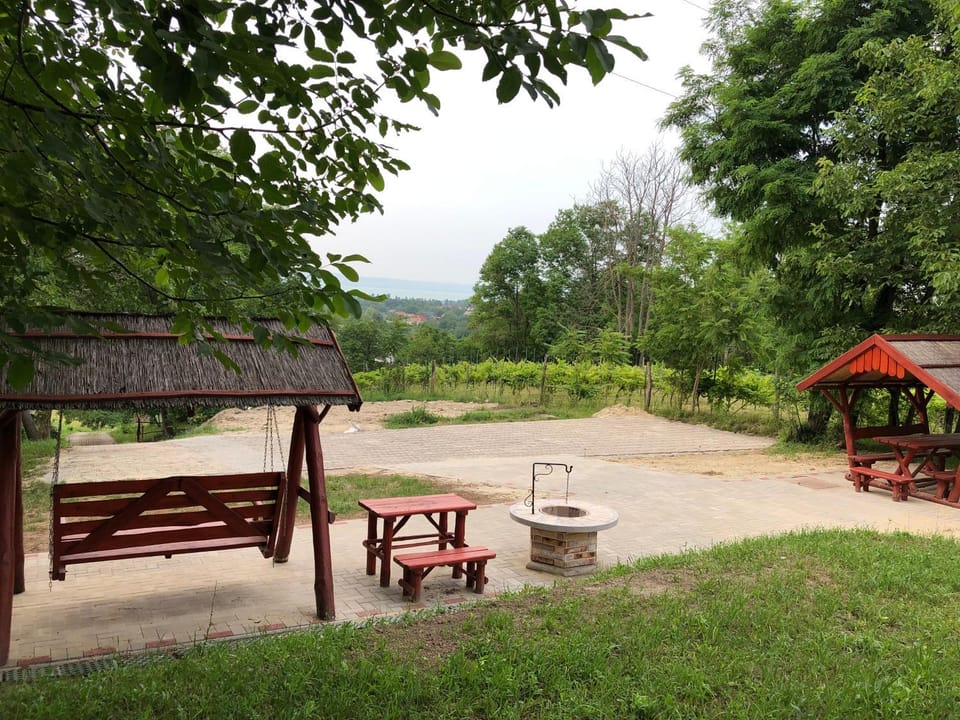 Lake view