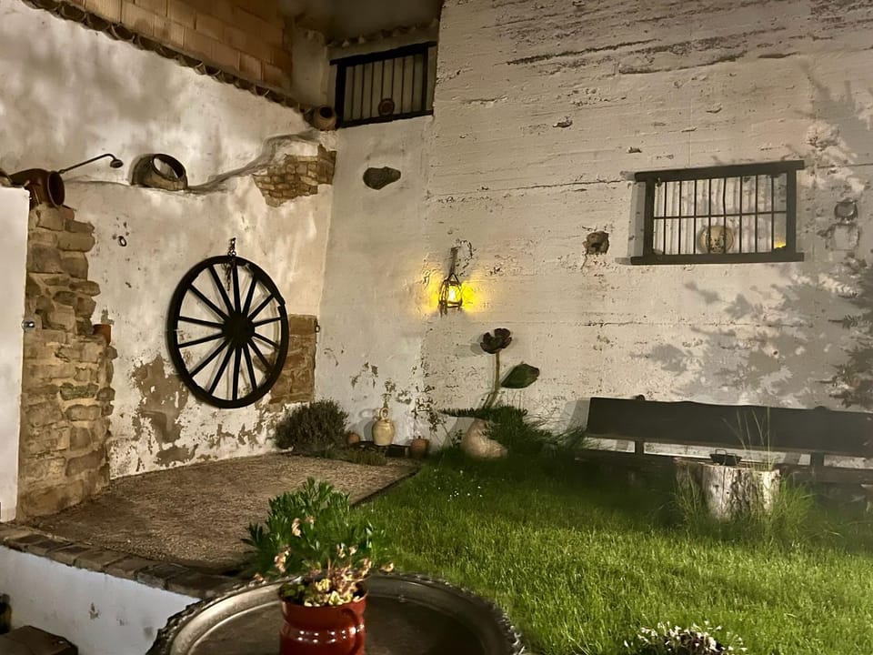 La mimosa House in Navarre
