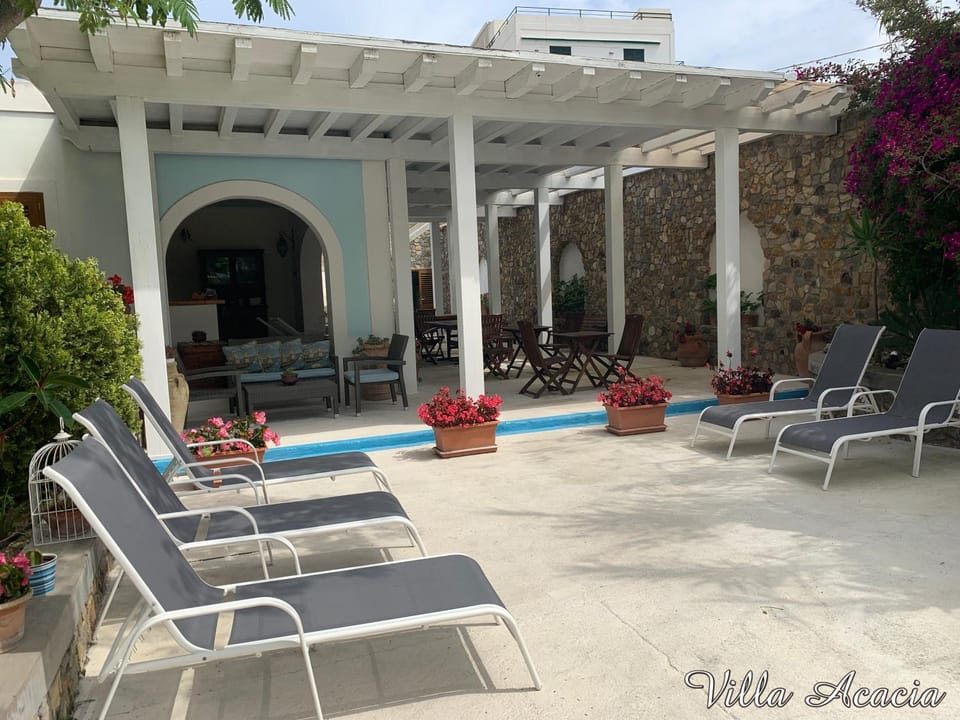 Patio, Day, sunbed