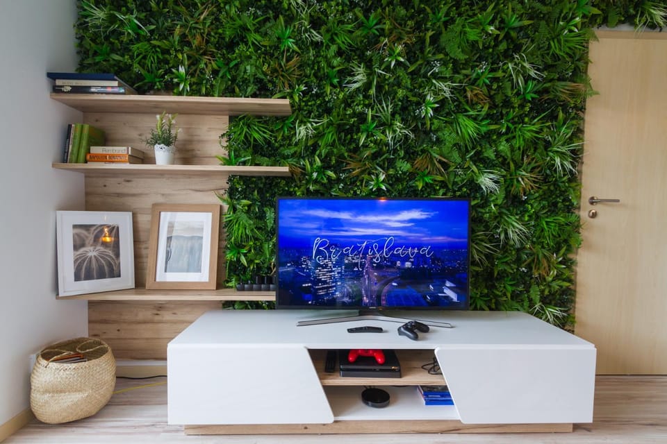 TV and multimedia