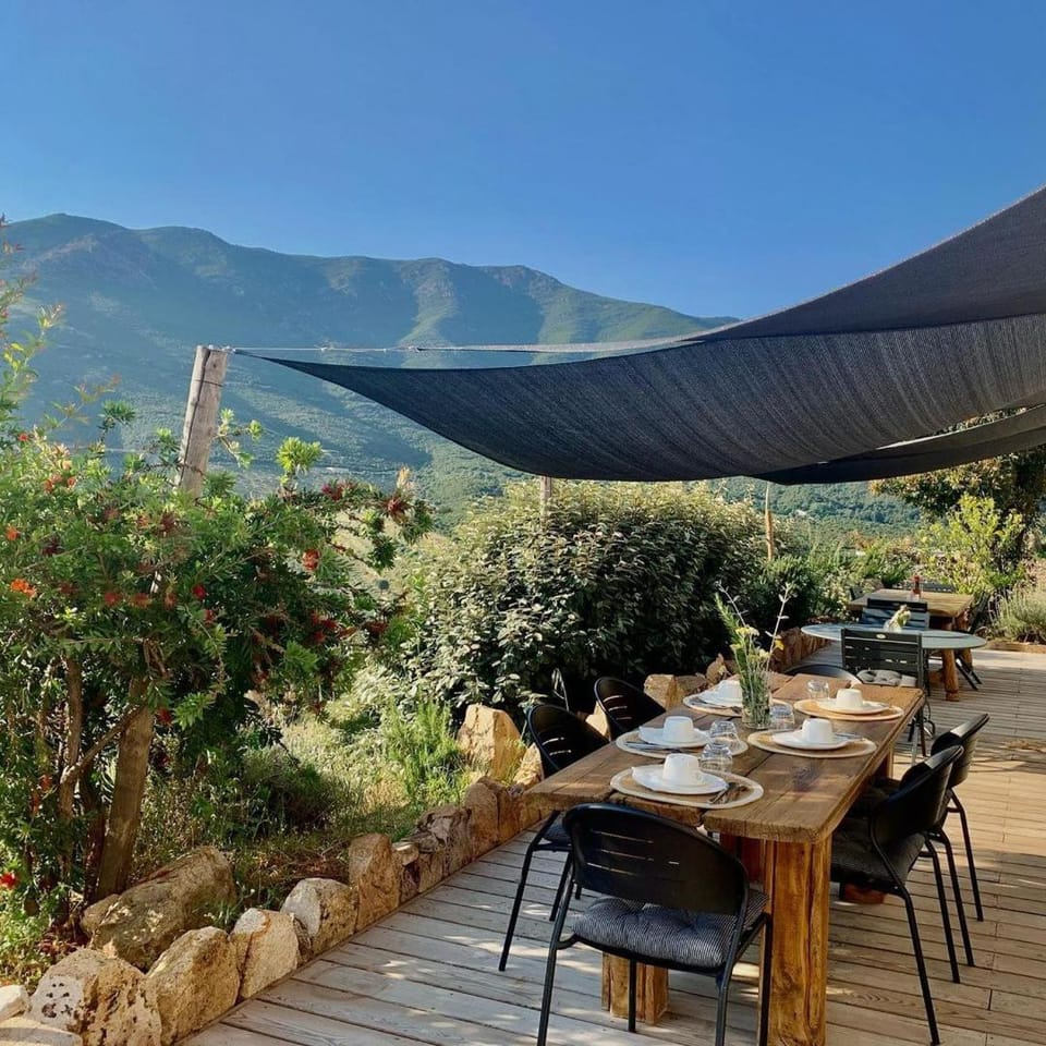 Patio, Meals