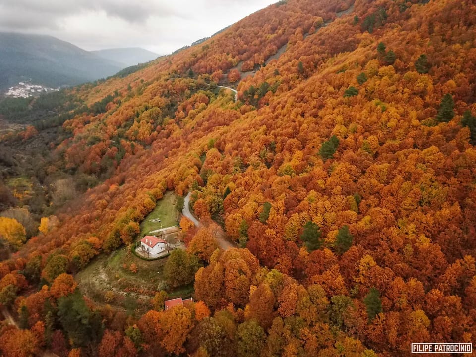 Natural landscape, Activities, Bird's eye view, Spa and wellness centre/facilities, Other, Hiking, Autumn, Mountain view, Entertainment