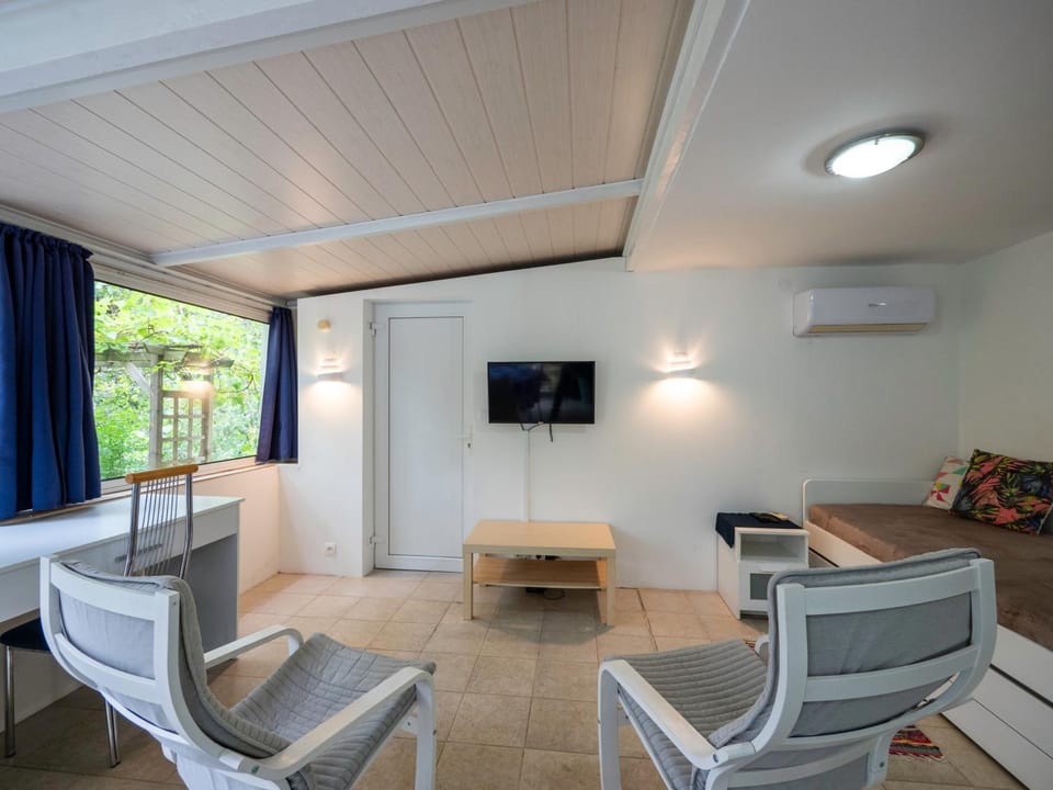 TV and multimedia, Living room, Seating area, air conditioner
