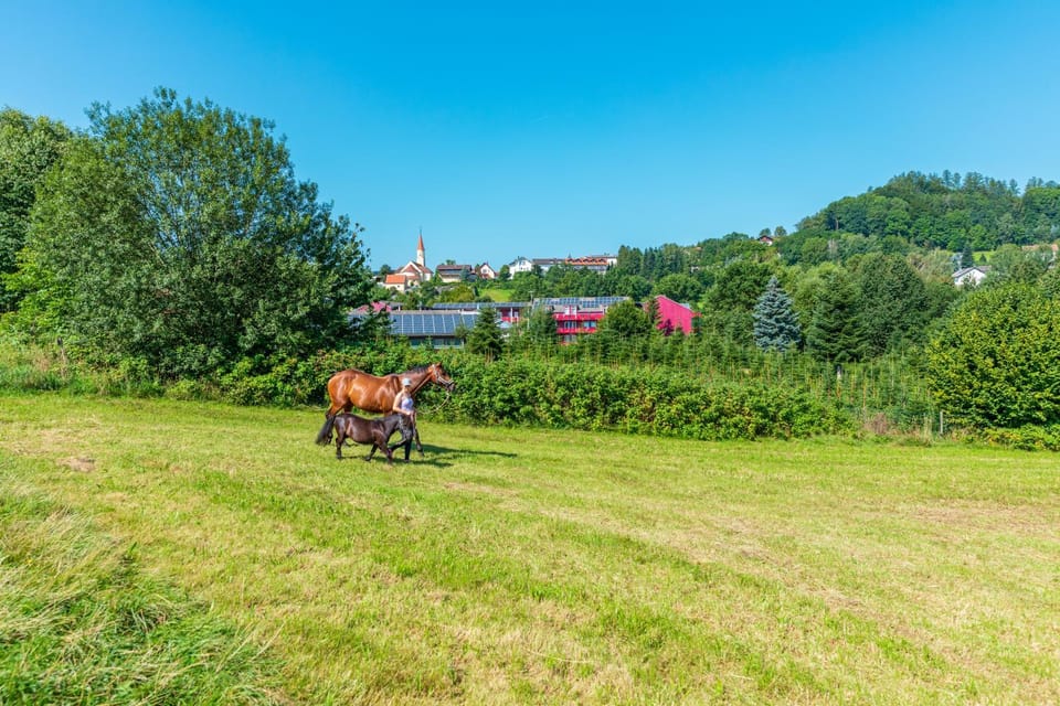 Familienhotel Reiterhof Runding Hotel in Bavaria