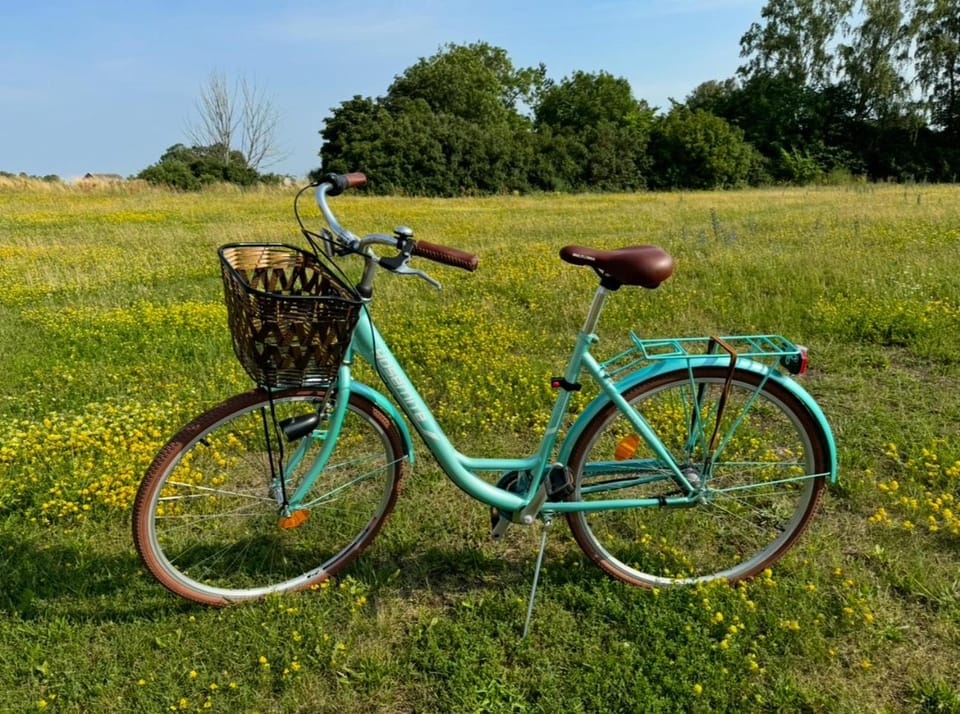 Natural landscape, Cycling