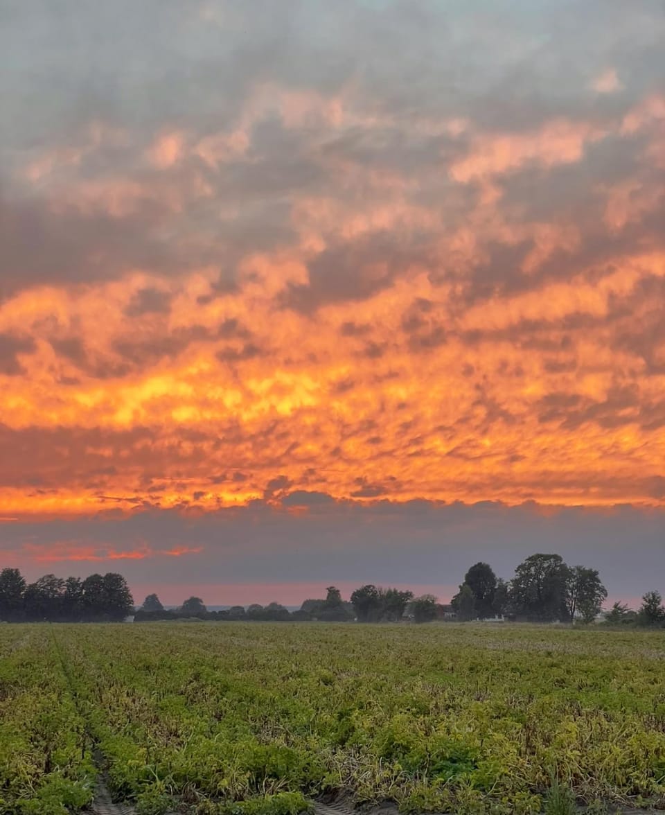Natural landscape, Sunset