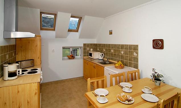 Kitchen or kitchenette, Photo of the whole room, Dining area