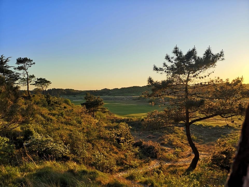 Natural landscape, On site