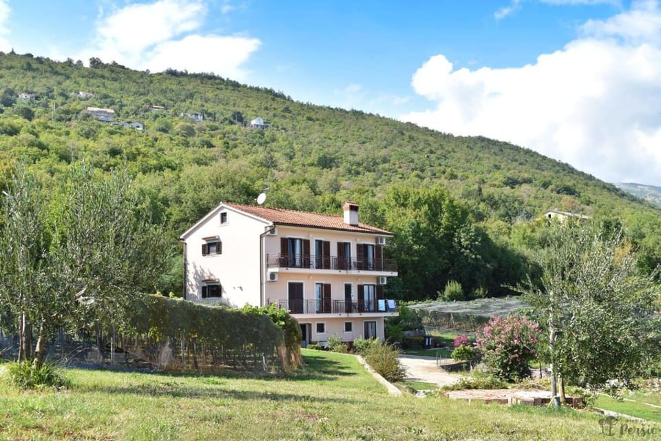 Property building, Neighbourhood, Garden