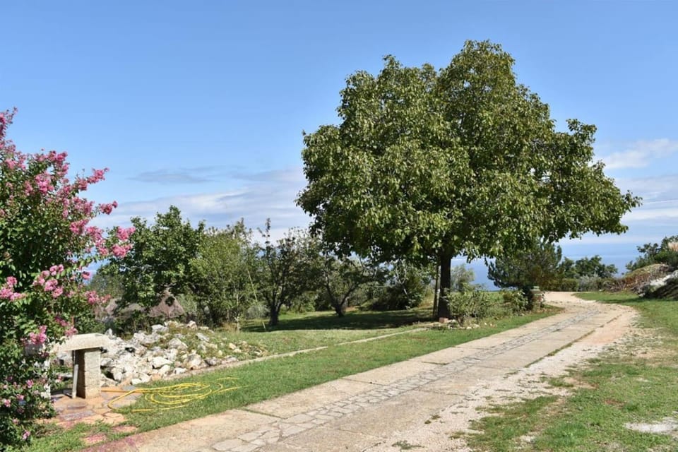 Day, Neighbourhood, Natural landscape, Garden, On site