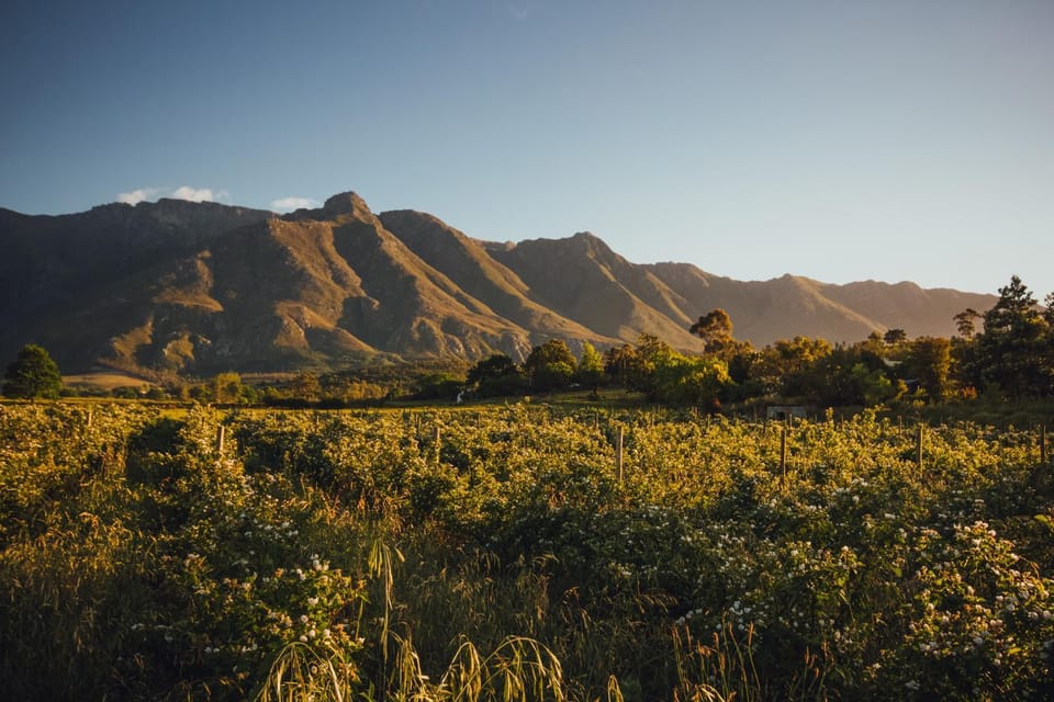 Natural landscape, Mountain view