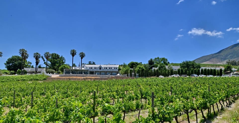 Property building, Natural landscape, Garden view