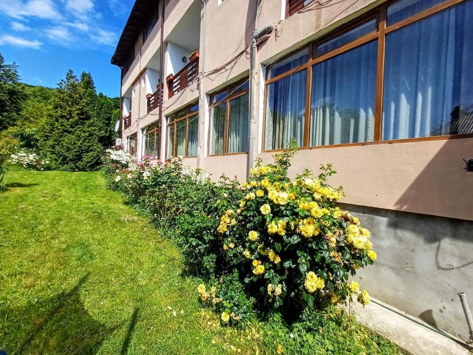 Pensiunea Agroturistică Piscul Soarelui Bed and Breakfast in Romania