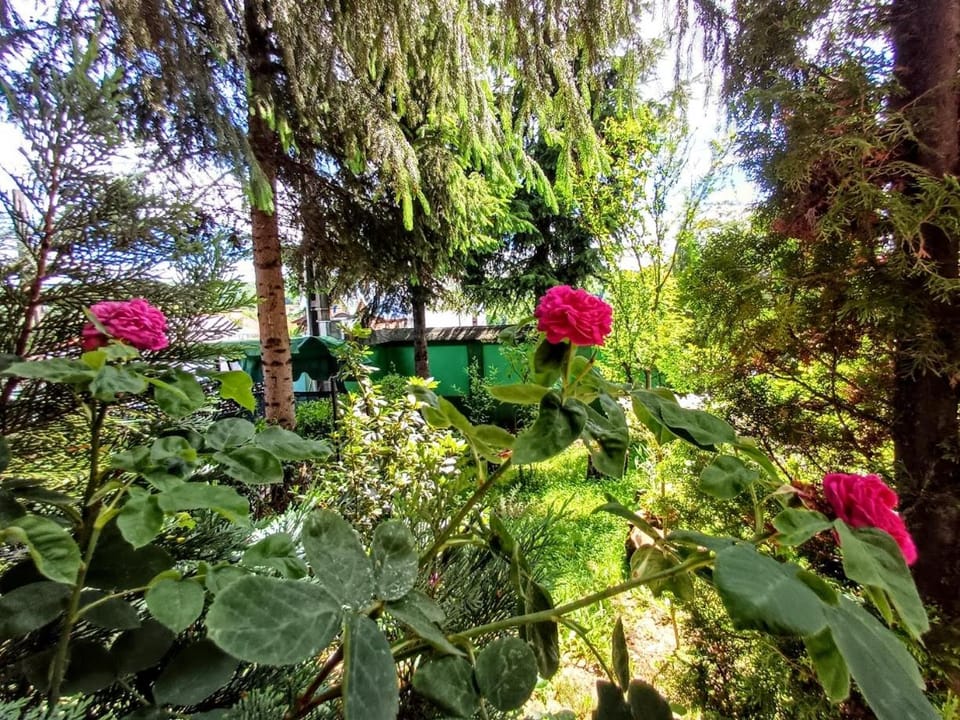Pensiunea Agroturistică Piscul Soarelui Bed and Breakfast in Romania