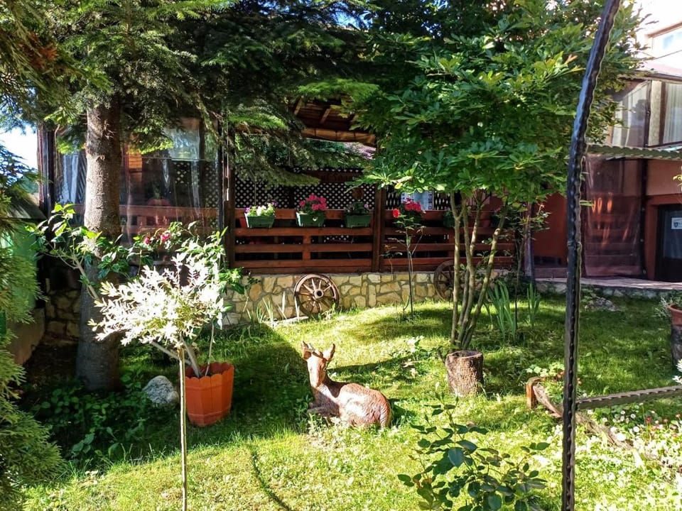 Pensiunea Agroturistică Piscul Soarelui Bed and Breakfast in Romania