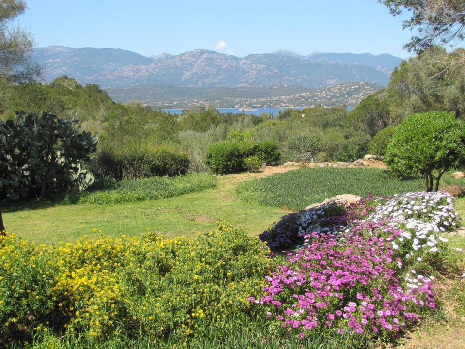 Mountain view, Sea view