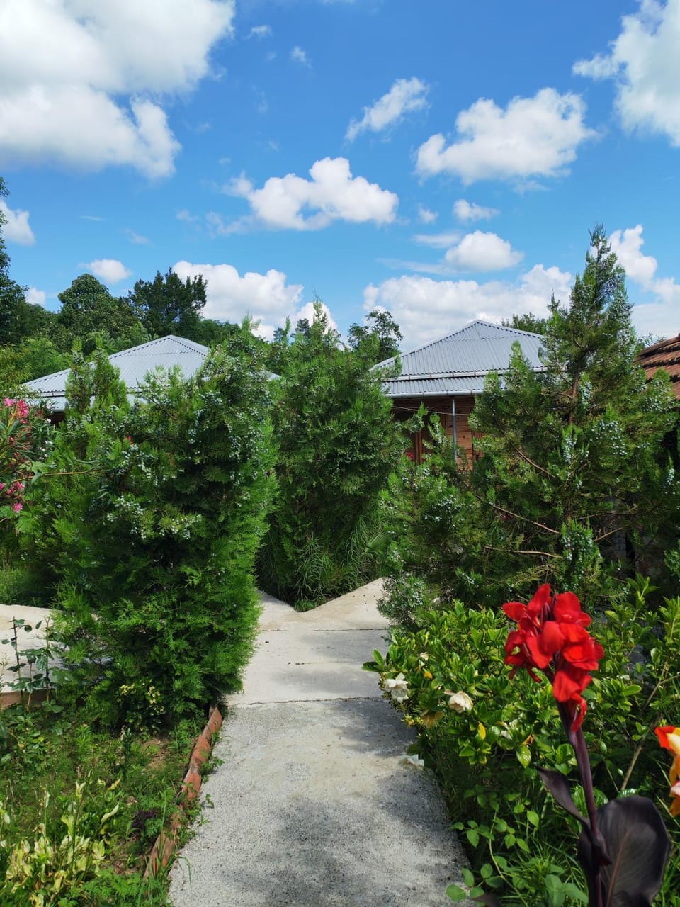 Green Villa Tskaltubo Villa in Georgia