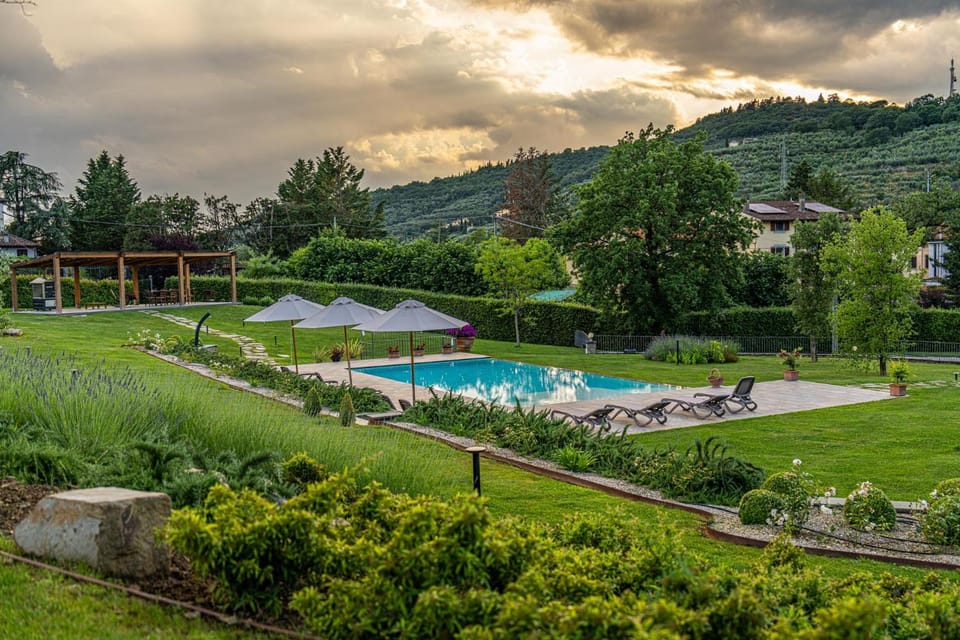 Spring, Day, Natural landscape, Garden, Garden view, Pool view, Swimming pool, sunbed