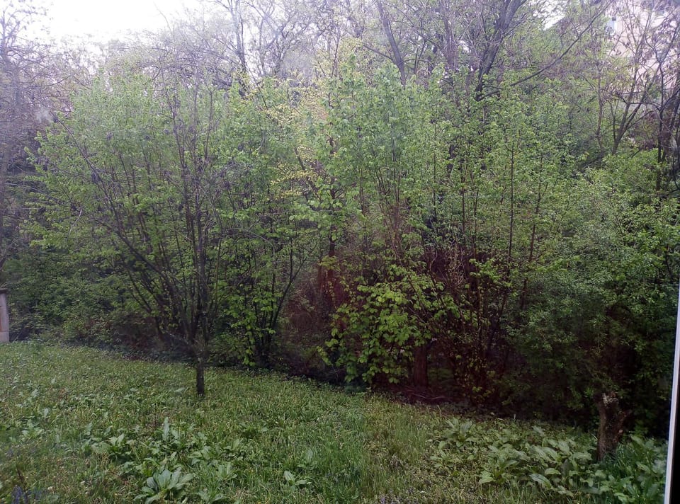 Off site, Inner courtyard view