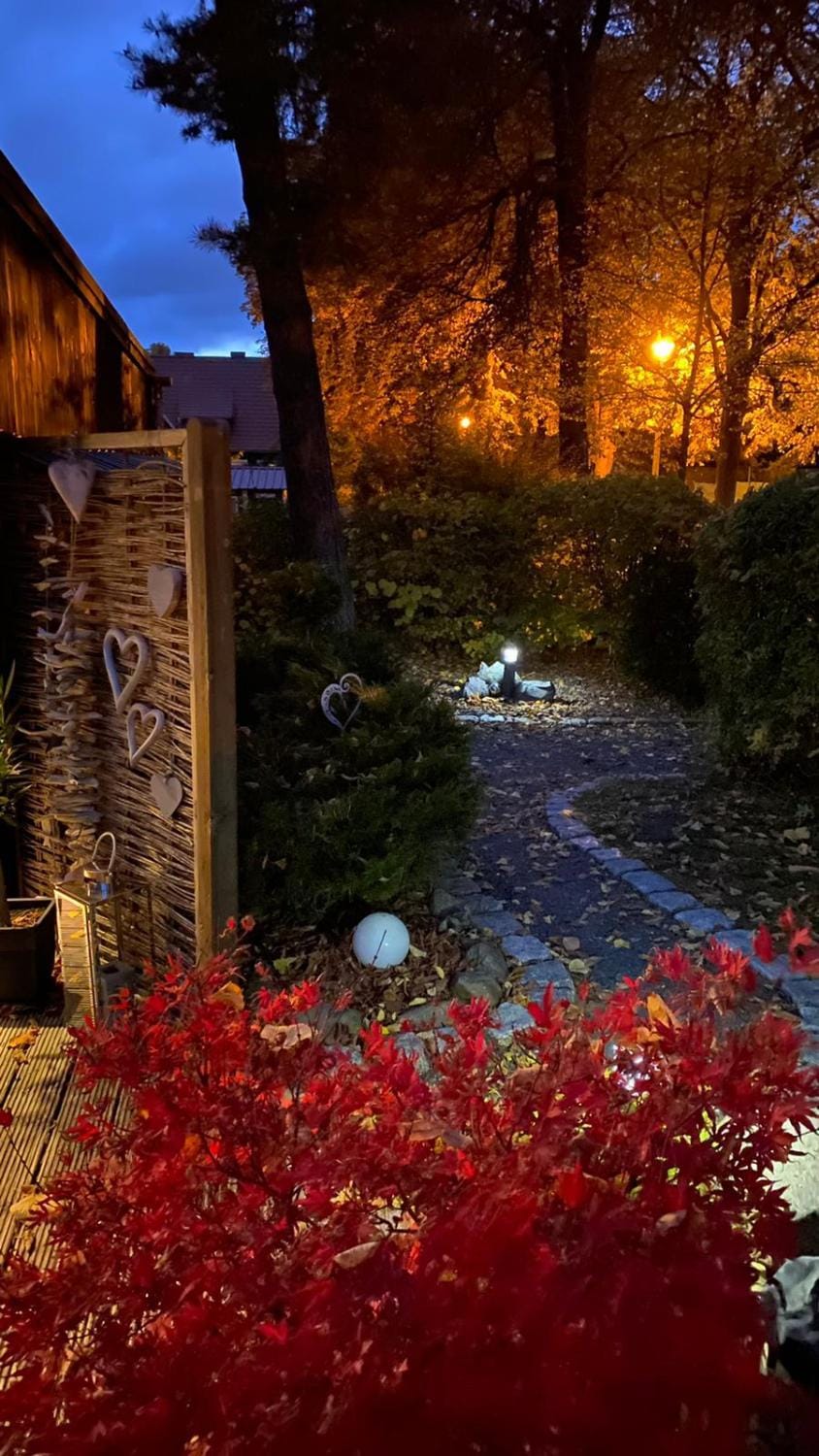 Night, Autumn, Garden view, Street view