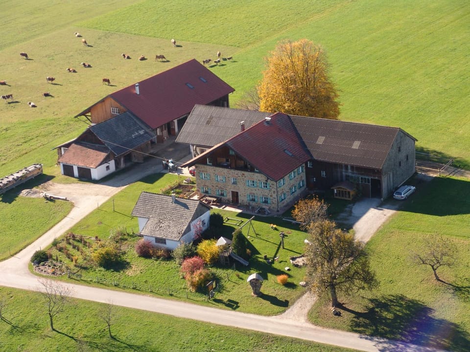 Bird's eye view, On site