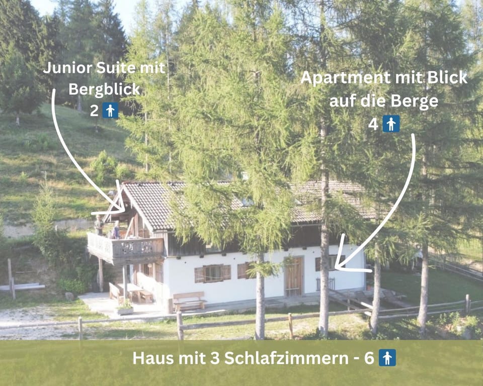 Kreitalm - Kraftplatz im Salzkammergut Apartment in Salzburgerland