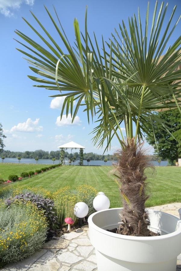 Natural landscape, Garden, Garden view, River view