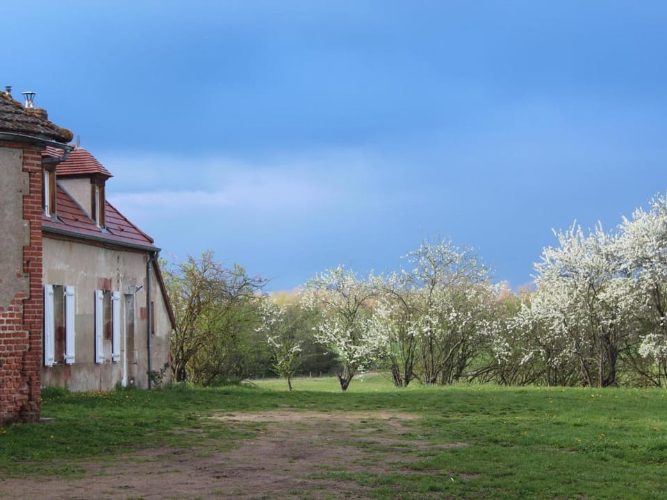 Gîte de charme à la campagne - 6 pers. - FR-1-489-17 House in Bourgogne-Franche-Comté