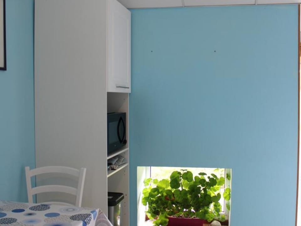 Gîte indépendant rénové, animaux acceptés, jardin - La Tourne - FR-1-489-22 House in Auvergne-Rhône-Alpes