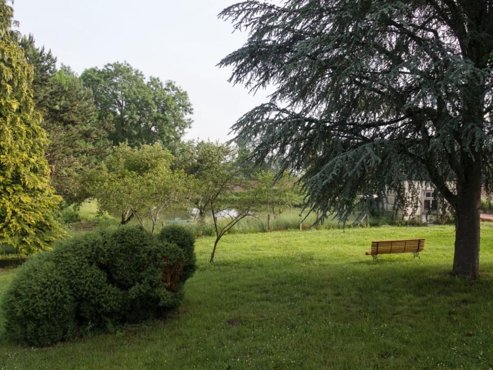 Gîte paisible en Auvergne pour 6 pers., animaux admis - FR-1-489-127 House in Auvergne-Rhône-Alpes