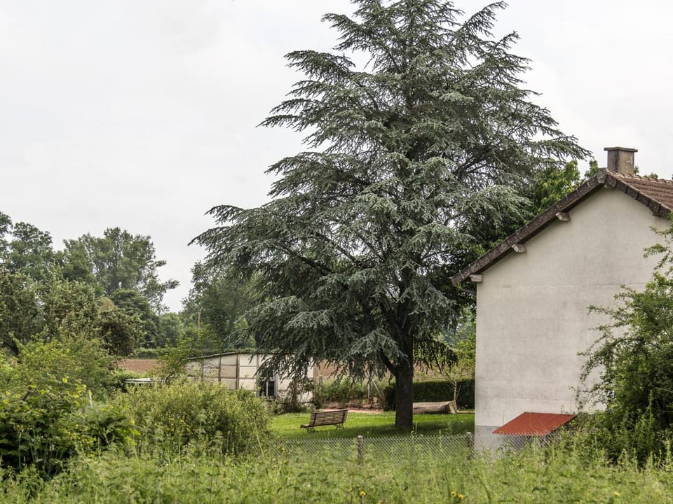 Gîte paisible en Auvergne pour 6 pers., animaux admis - FR-1-489-127 House in Auvergne-Rhône-Alpes