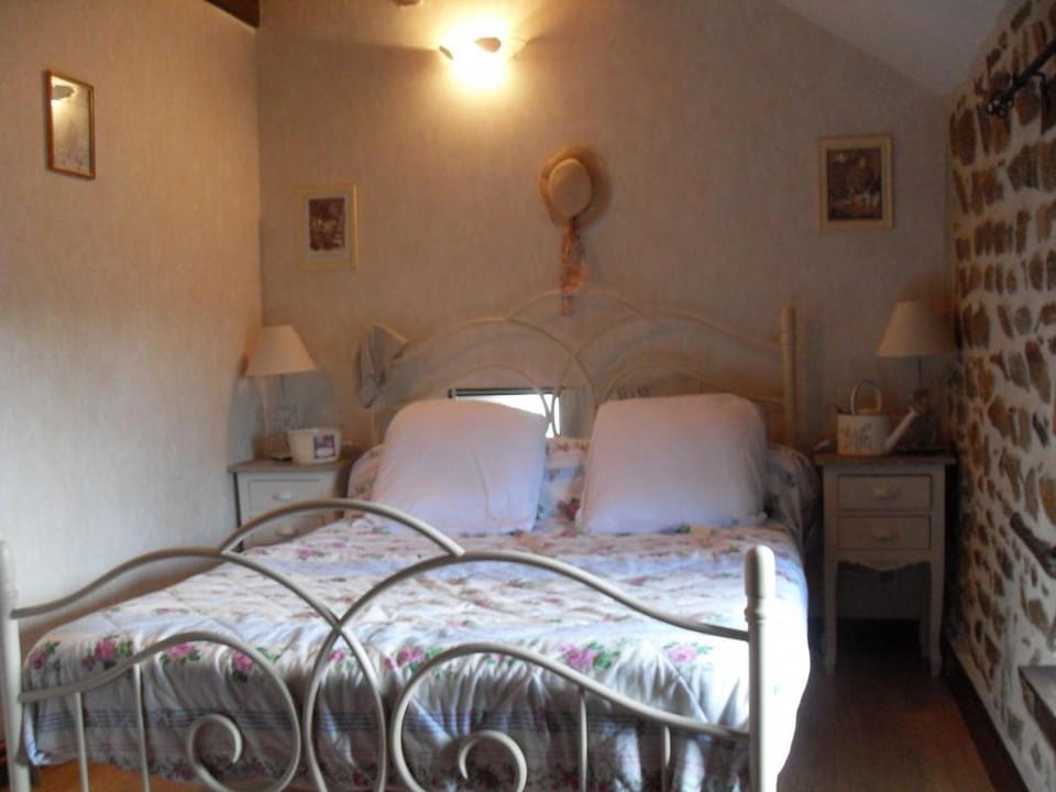 Charmant gîte indépendant avec jardin clos et animaux admis - FR-1-489-159 House in Auvergne-Rhône-Alpes