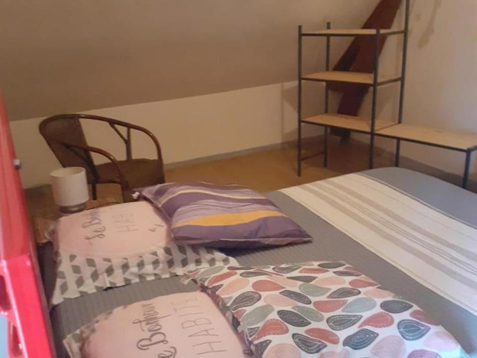 Maison de vendanges rénovée avec WIFI et animaux admis - FR-1-489-178 House in Auvergne-Rhône-Alpes