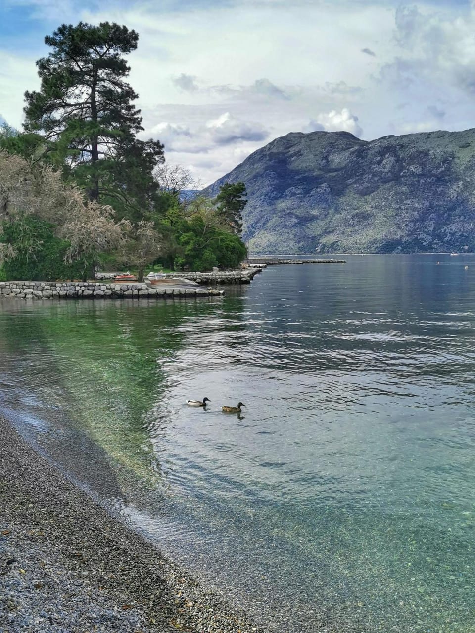 Apartman Vladan Apartment in Kotor Municipality