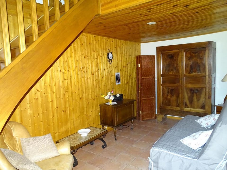 Gîte rural avec jardin clos, animaux acceptés - FR-1-489-244 House in Auvergne-Rhône-Alpes