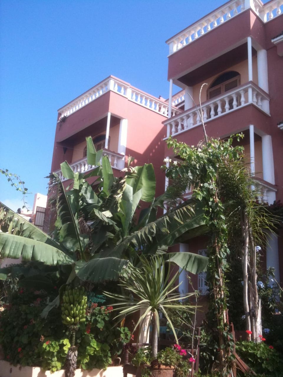 Property building, Garden