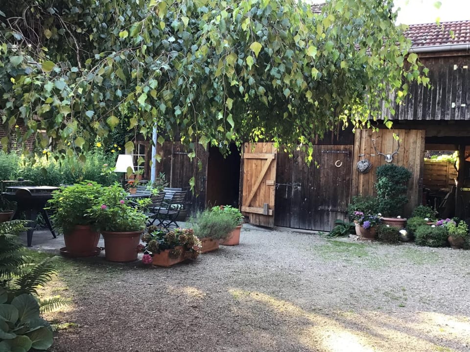 Property building, Garden
