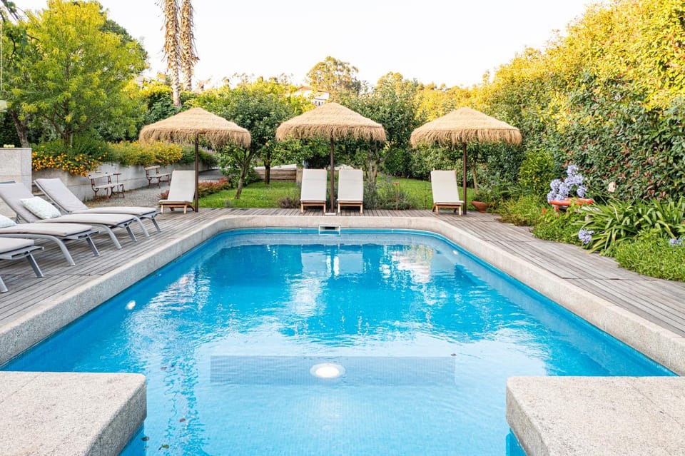 Spring, Garden, Garden view, Pool view, Swimming pool, sunbed