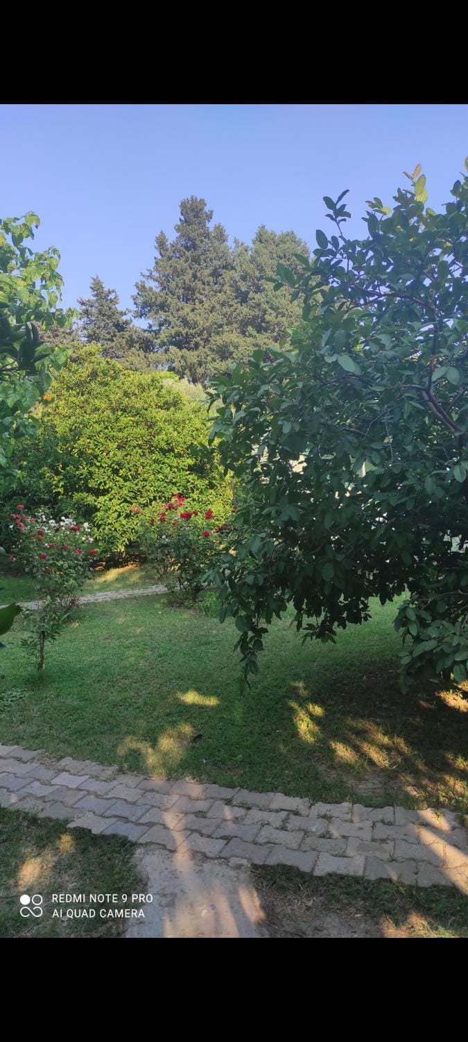 Saklı Bahçe pensiyon & camping Vacation rental in Antalya Province