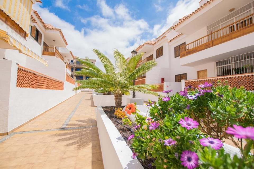 El Cardon Las Vistas - TENESOL RENTALS Apartment in Playa de las Americas