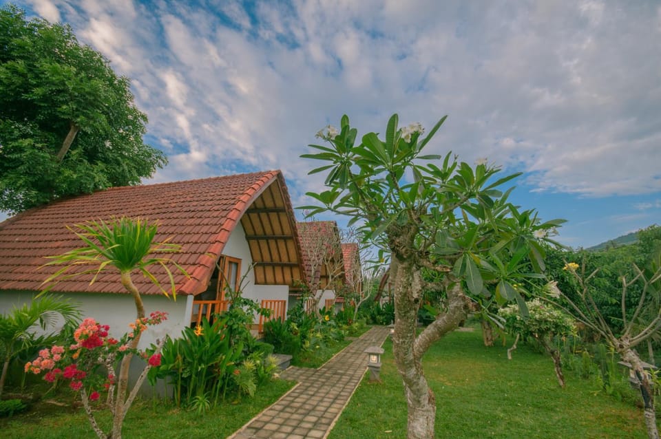 Property building, Garden, Garden view