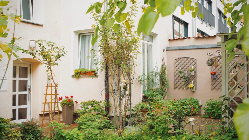 Garden view