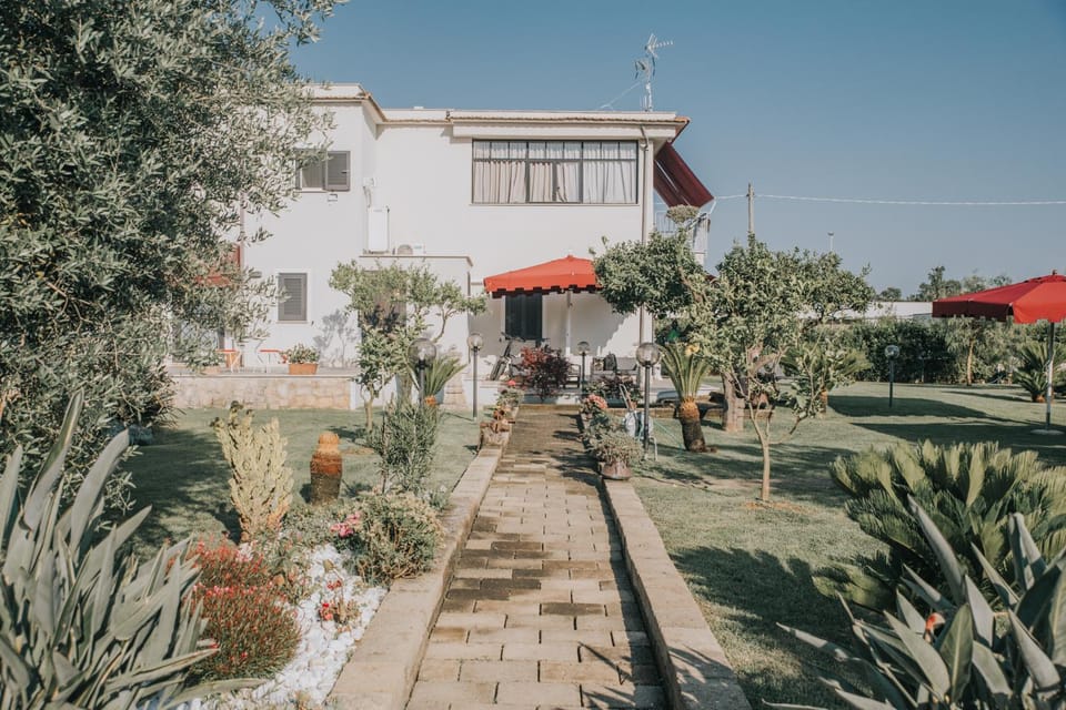 Property building, Garden, Garden view