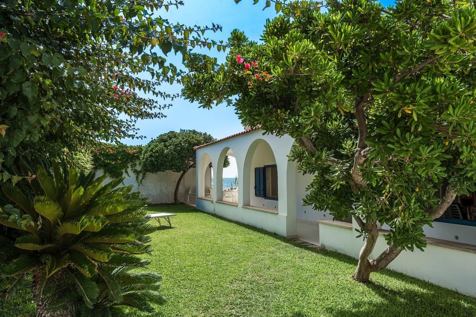 Patio, Garden, Garden view